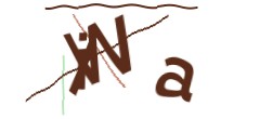 Identifying code