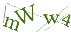 Identifying code
