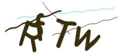 Identifying code