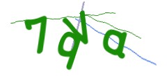 Identifying code
