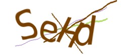 Identifying code
