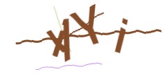 Identifying code