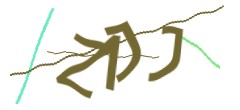 Identifying code