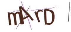 Identifying code