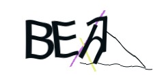 Identifying code