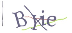 Identifying code