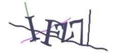 Identifying code