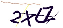 Identifying code