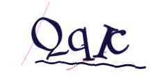 Identifying code