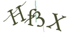 Identifying code