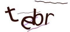 Identifying code