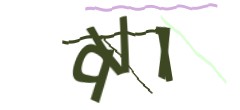 Identifying code