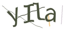 Identifying code