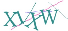 Identifying code