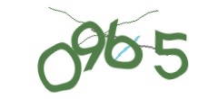 Identifying code