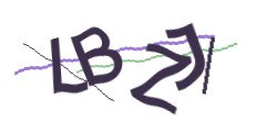Identifying code