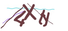 Identifying code