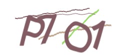 Identifying code