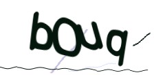 Identifying code