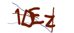 Identifying code