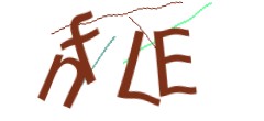 Identifying code