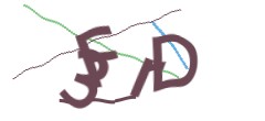 Identifying code