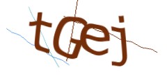 Identifying code
