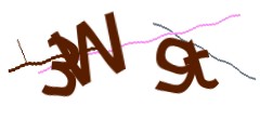 Identifying code