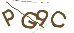 Identifying code