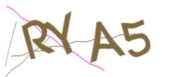 Identifying code