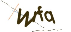 Identifying code