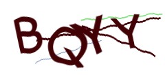 Identifying code