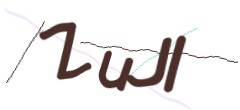 Identifying code