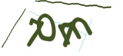 Identifying code