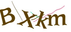 Identifying code