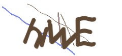 Identifying code