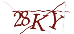 Identifying code