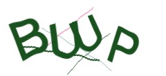 Identifying code