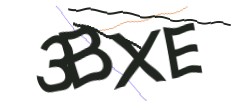 Identifying code