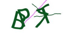 Identifying code