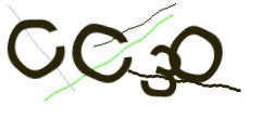 Identifying code