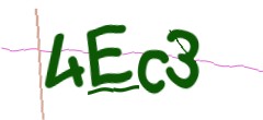 Identifying code