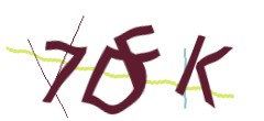 Identifying code