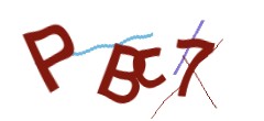 Identifying code