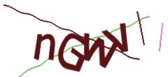 Identifying code