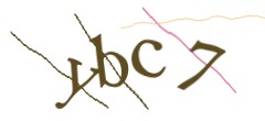 Identifying code