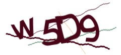 Identifying code