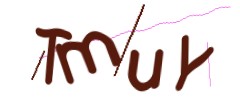 Identifying code