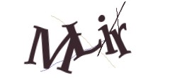 Identifying code