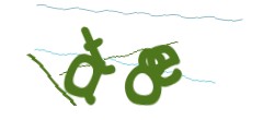 Identifying code